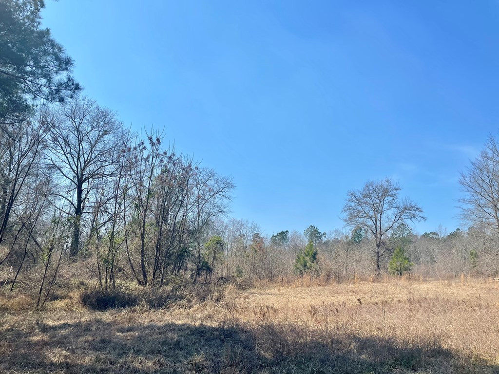 4885 Borden Road Rembert, SC 29128 - Photo 18 of 20