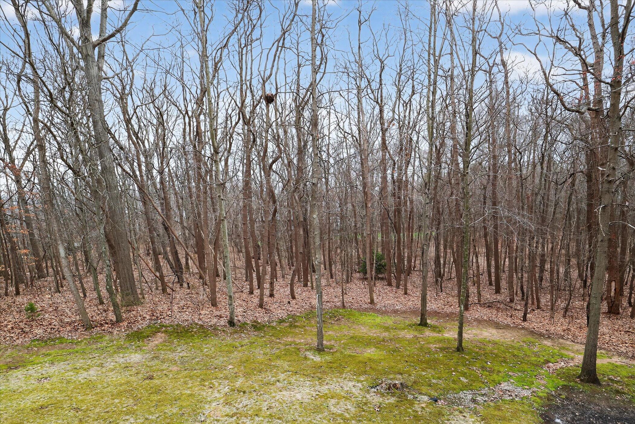 3652 Sawyer Road Sawyer, MI 49125 - Photo 39 of 44 45-3652-Sawyer-Rd-Sawyer-MI-49125 -Windo