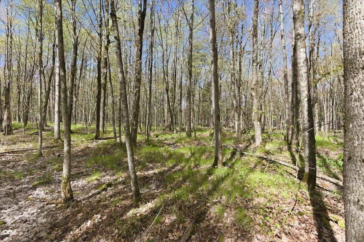 W585 Strucker Road Ogema, WI 54459 - Photo 6 of 55