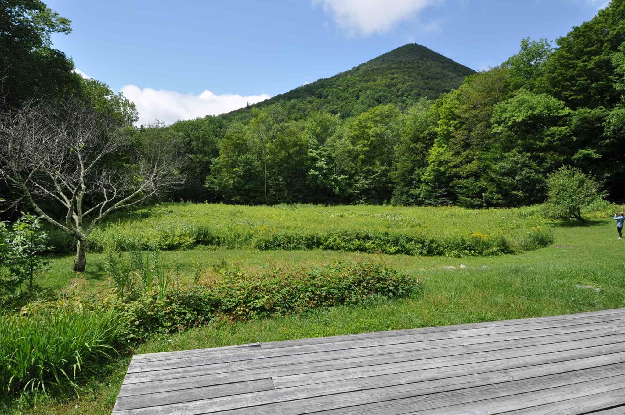 580 Tower Road Dorset, VT 05251 - Photo 3 of 40 Gallery Image 3