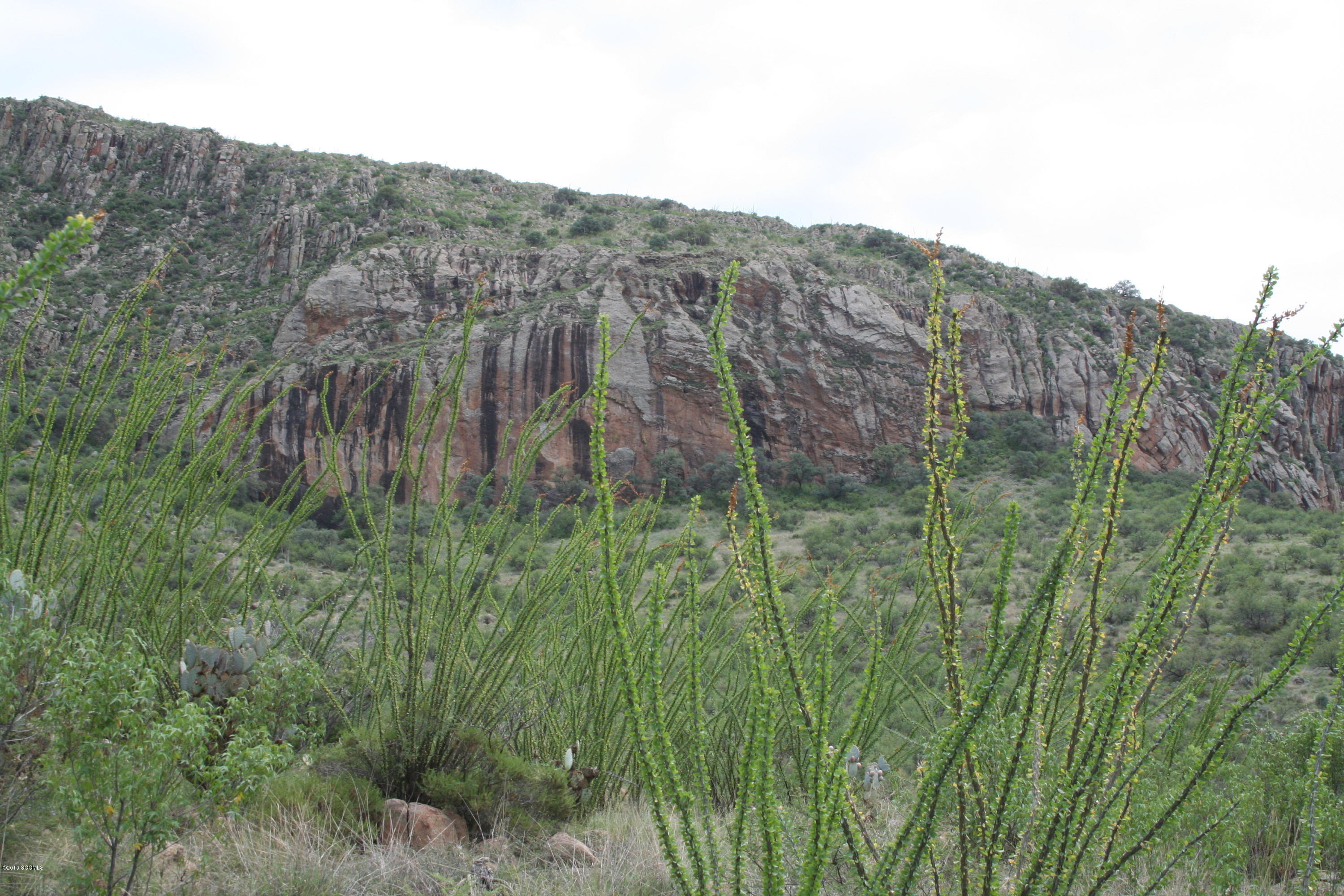 140 Tejano Springs Road Rio Rico, AZ 85648 - Photo 3 of 18 a view of a lush green field