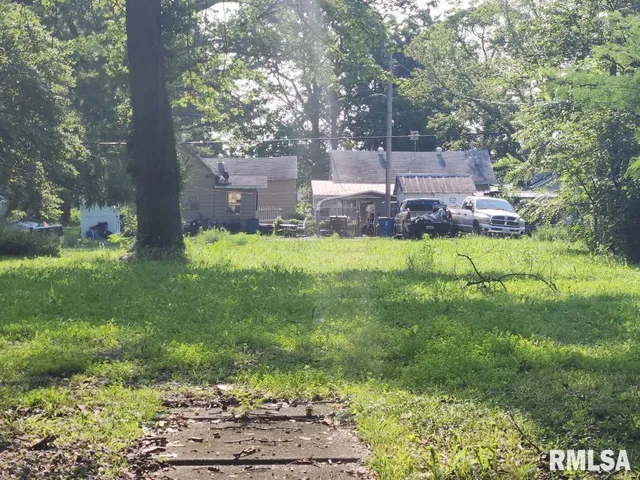a view of a garden with large tree