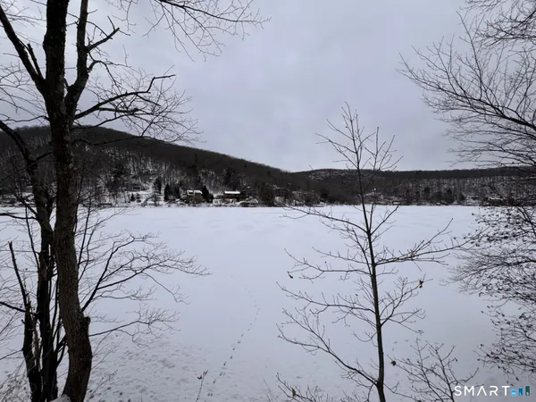 a view of a snow covered with snow in the yard