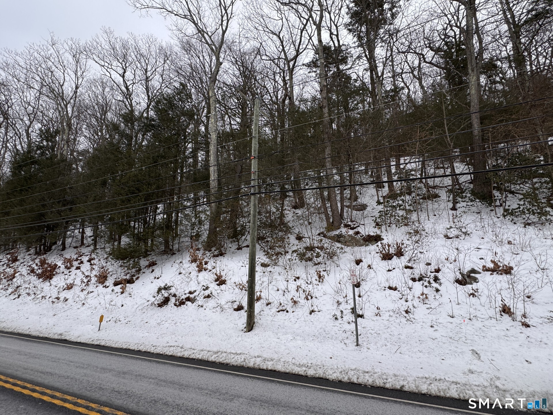 92 East Shore Road Washington, CT 06777 - Photo 4 of 4 a view of a backyard of a house