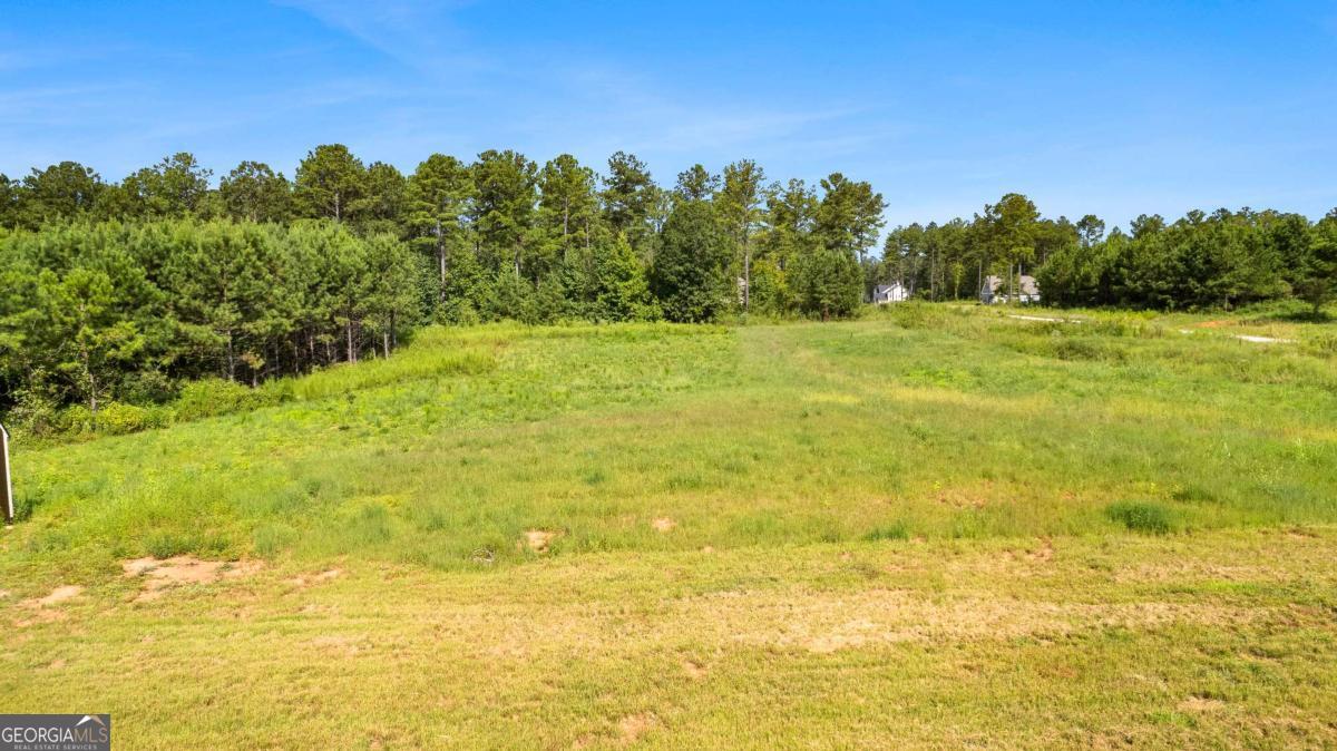 296 Beavers Road Grantville, GA 30220 - Photo 50 of 67