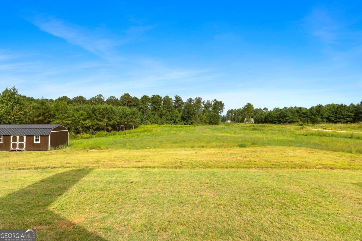 296 Beavers Road Grantville, GA 30220 - Photo 52 of 67