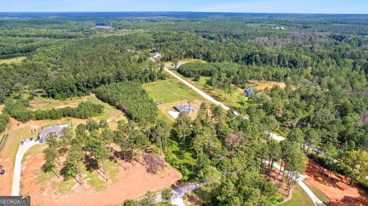 296 Beavers Road Grantville, GA 30220 - Photo 56 of 67