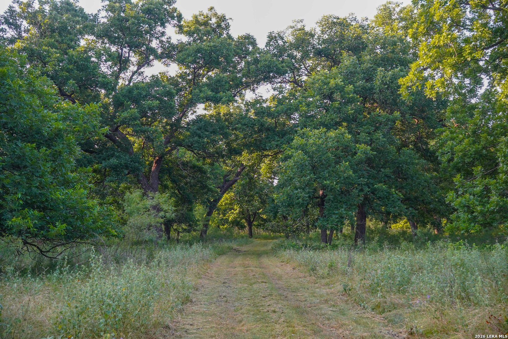 377 Junction Tx 76849 Junction, TX 76849 - Photo 37 of 59