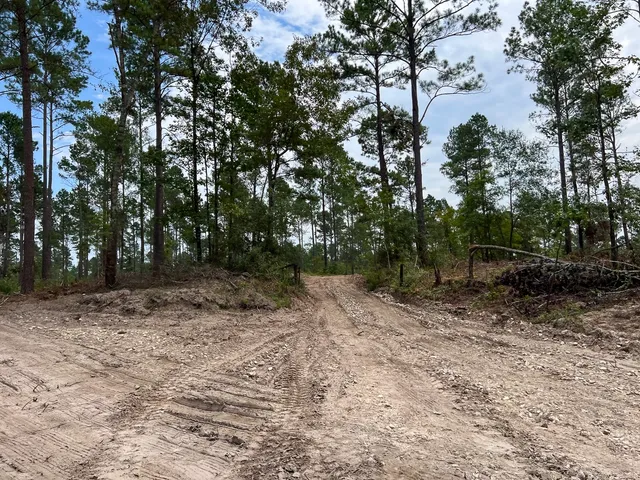 a view of a yard with plants and trees