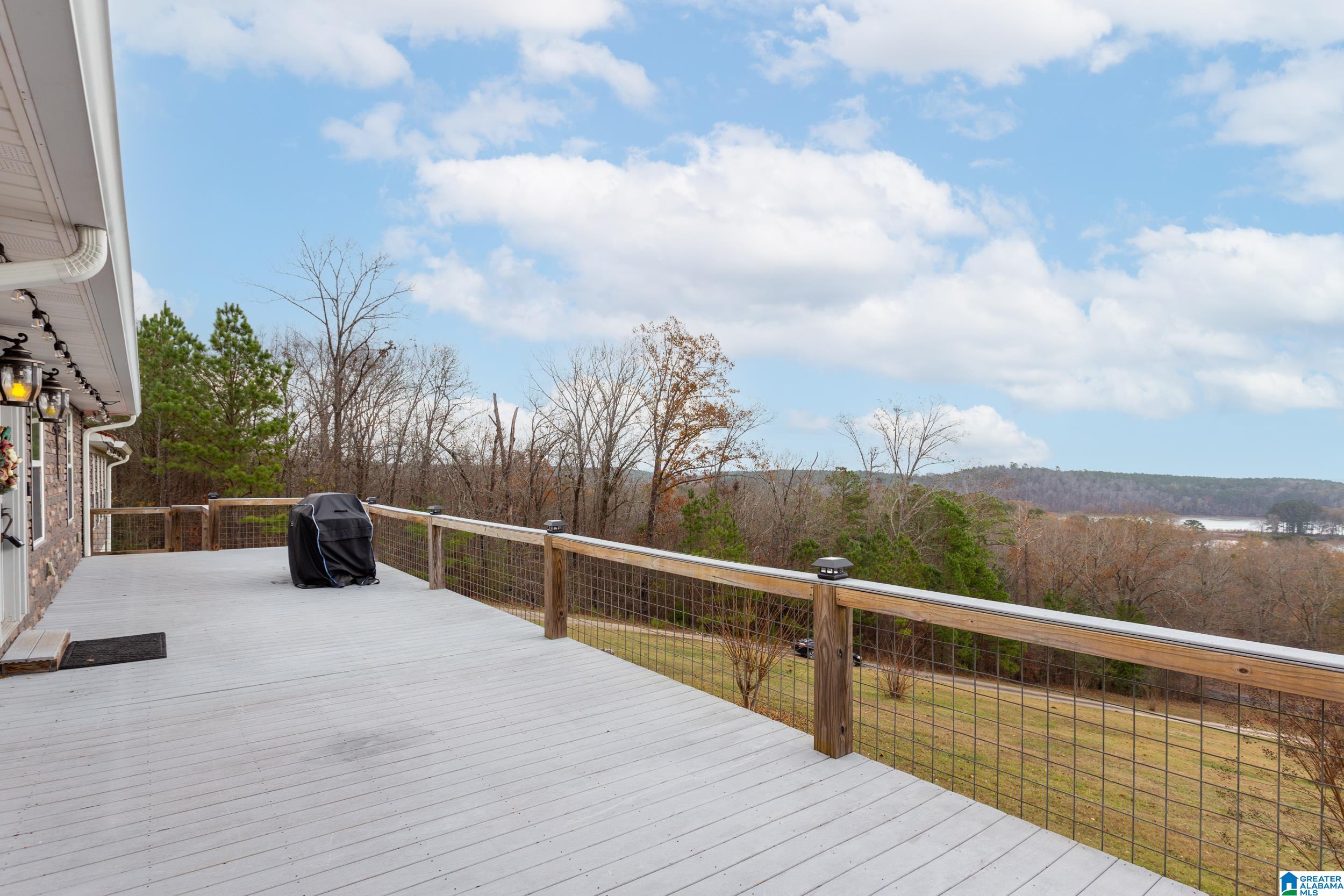 443 Lock 4 Road Riverside, AL 35135 - Photo 11 of 43