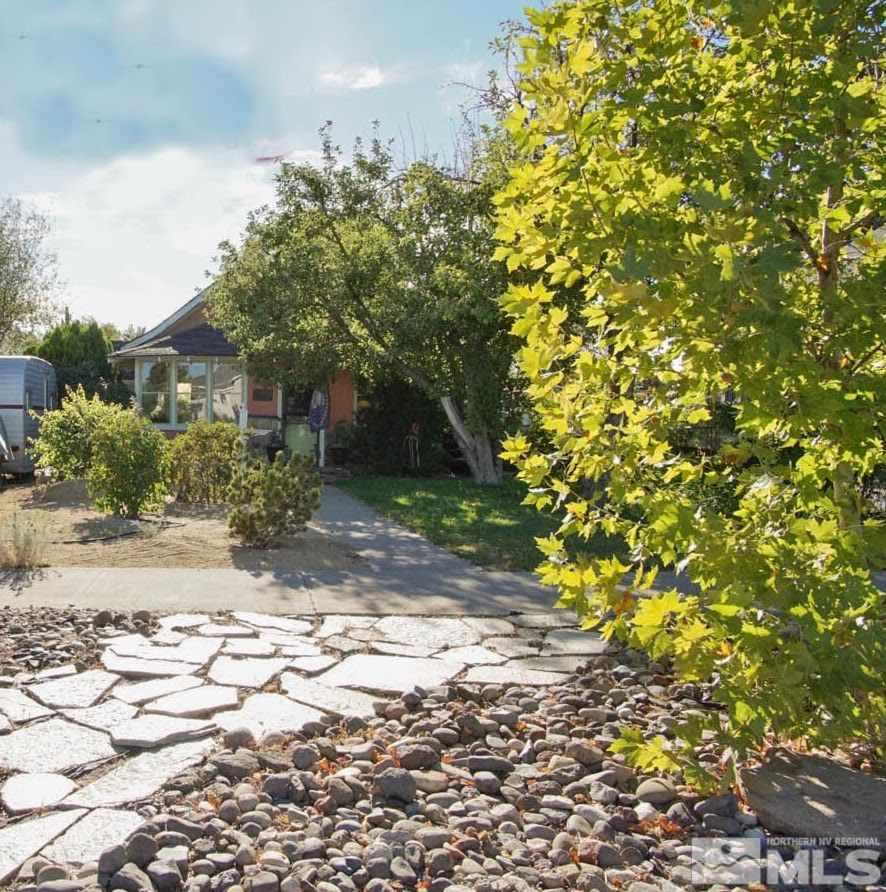 921 Washington Street Reno, NV 89503 - Photo 4 of 25 a view of a yard with plants and trees