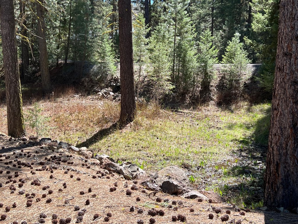 B24-l2 Vardon Road, Unit 2 New Meadows, ID 83654 - Photo 11 of 16