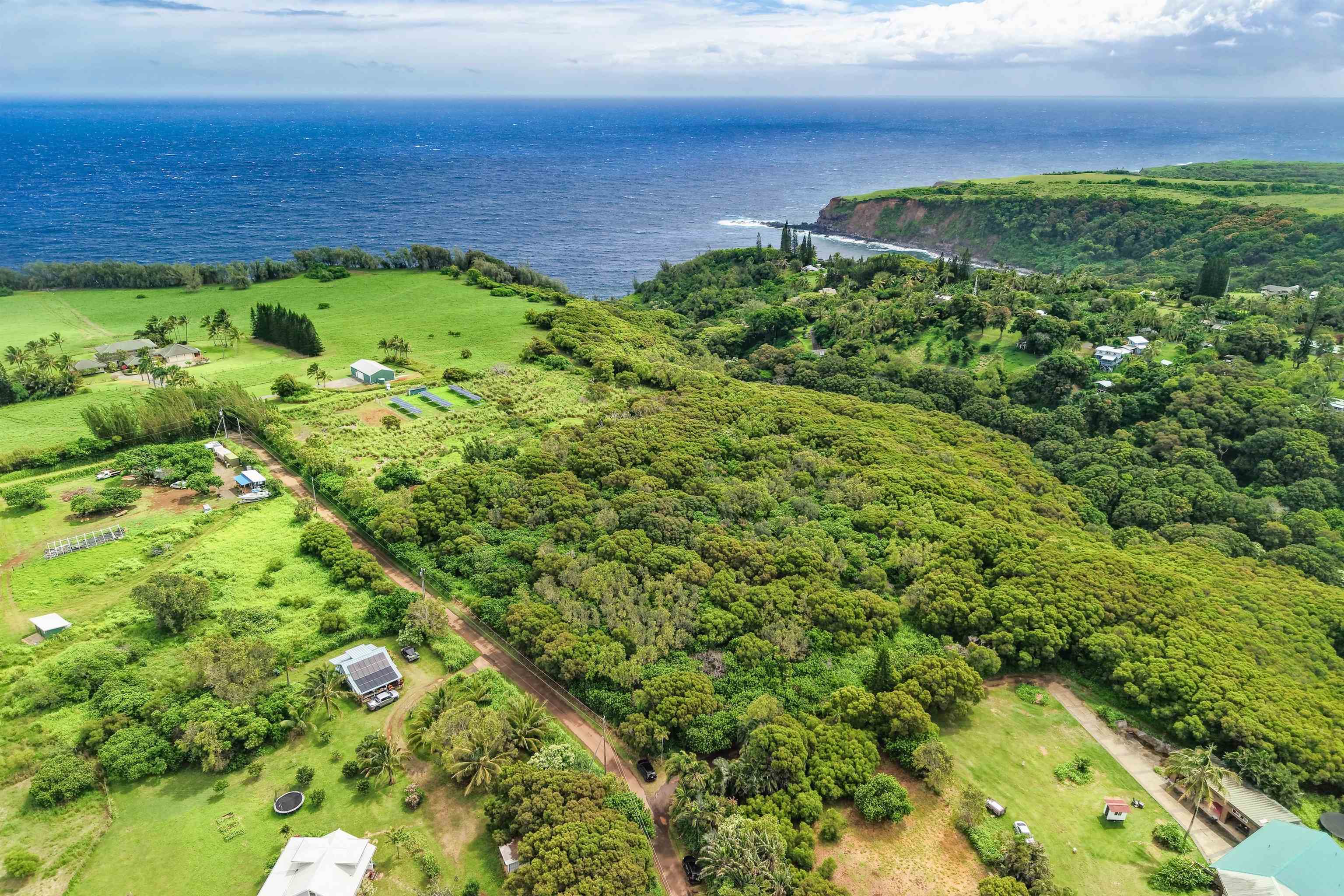 a view of a garden with an ocean