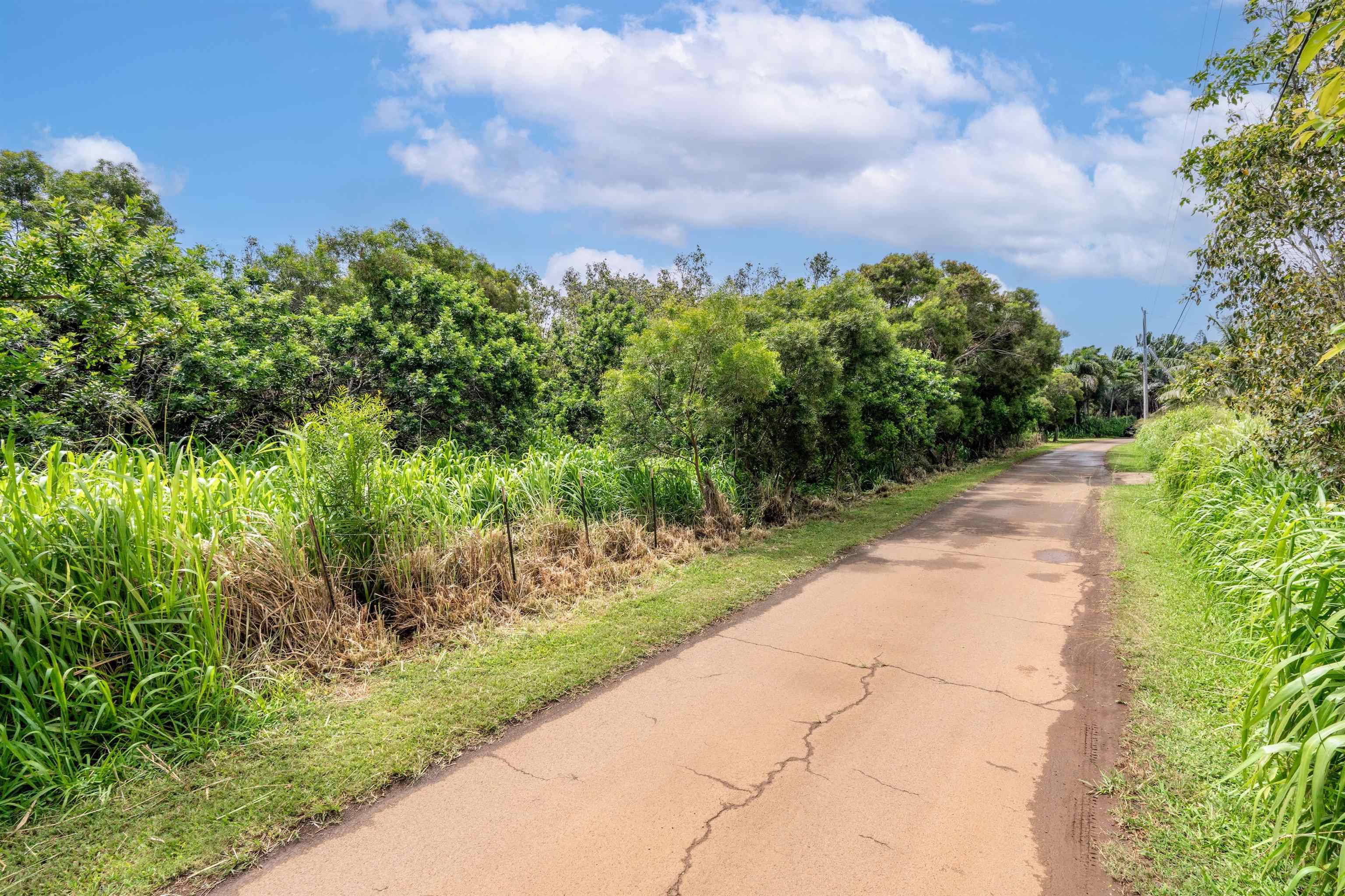 0 Haumana Road, Unit LOT 101B Haiku, HI 96708 - Photo 5 of 10 a view of a pathway both side of grassy field with shrub