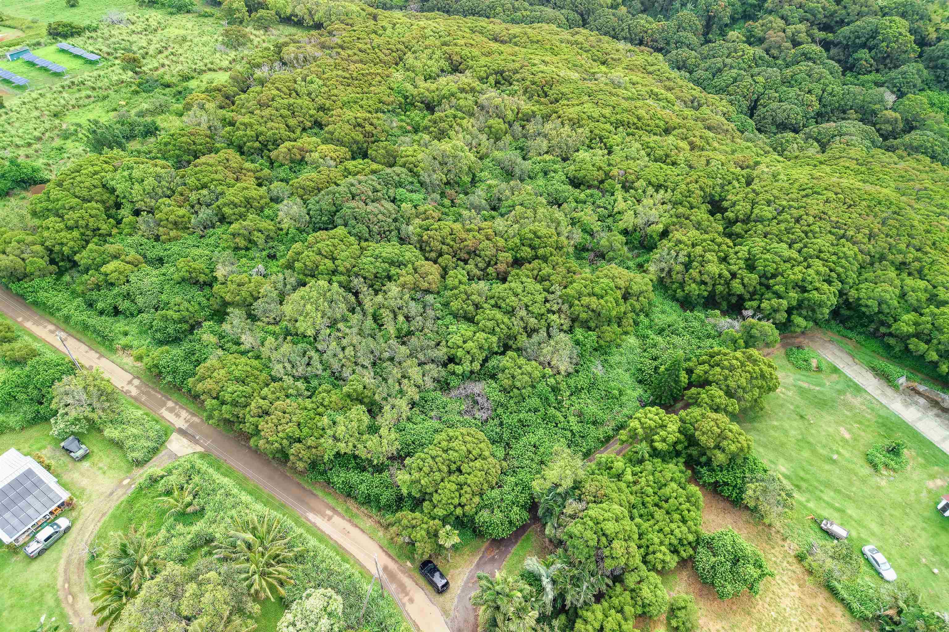 0 Haumana Road, Unit LOT 101B Haiku, HI 96708 - Photo 8 of 10 a view of a lush green forest with a bench