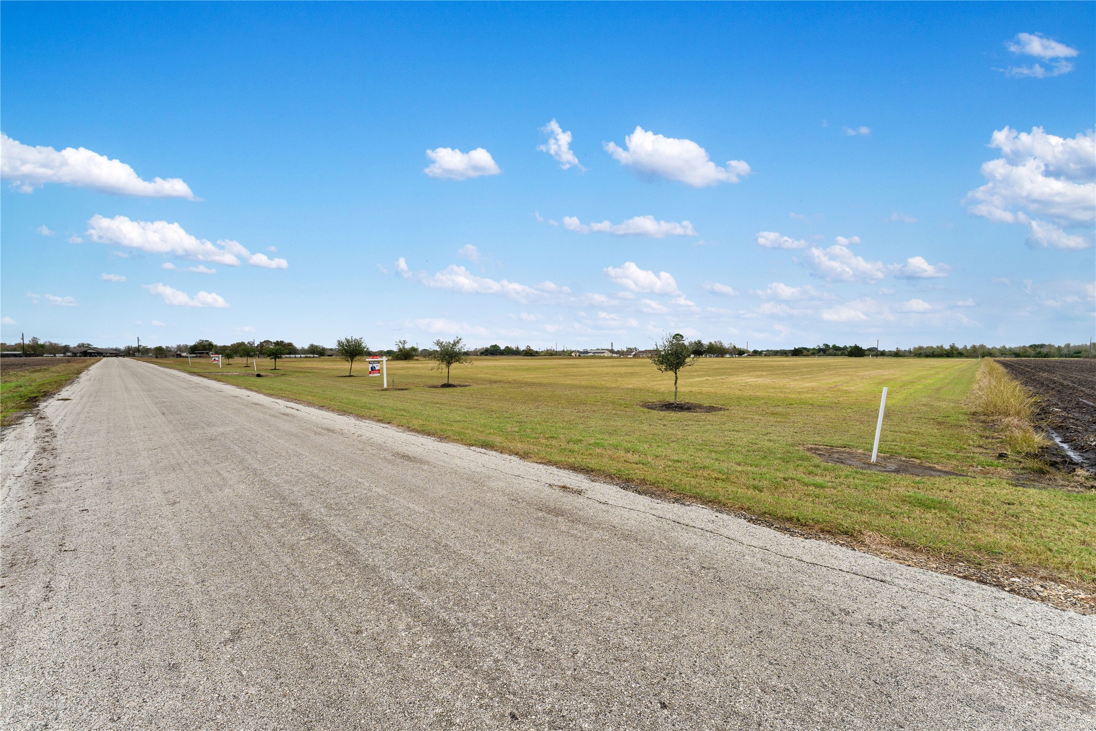 Lot 3 Neal Road Beasley, TX 77417 - Photo 13 of 24