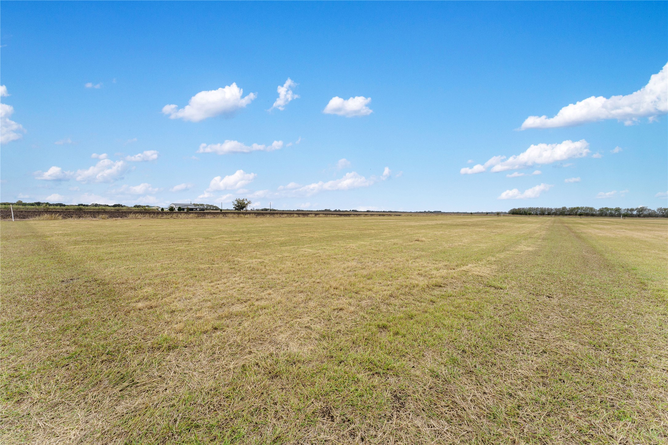 Lot 3 Neal Road Beasley, TX 77417 - Photo 21 of 24