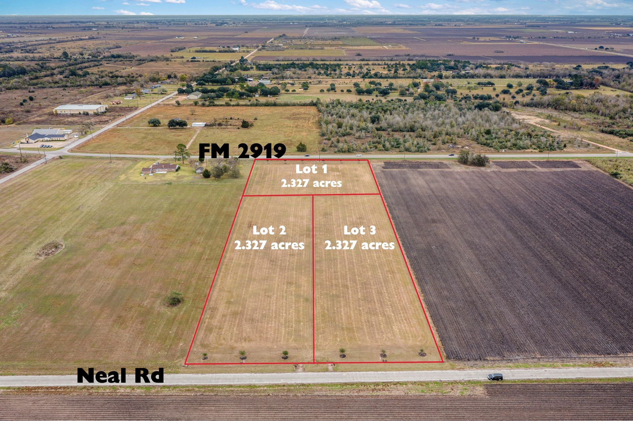 Lot 3 Neal Road Beasley, TX 77417 - Photo 3 of 24