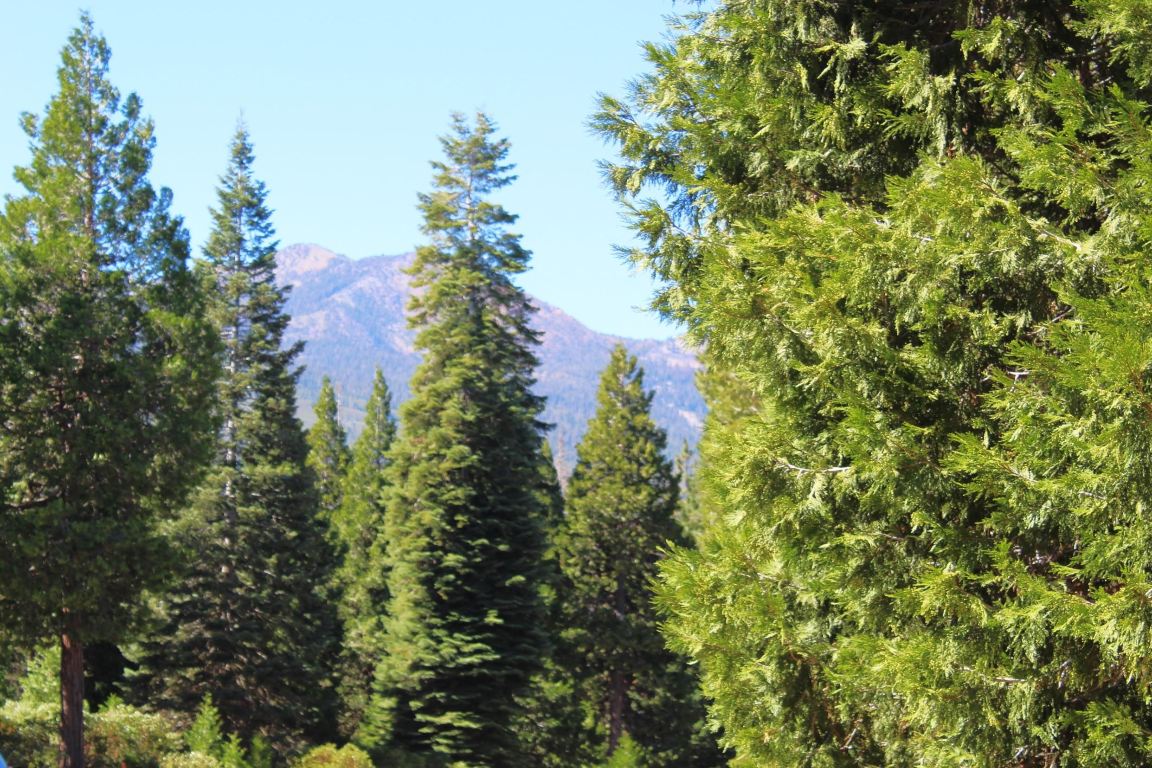 Lot 41 Skyview Road Mount Shasta, CA 96067 - Photo 5 of 14 Gallery Image 5