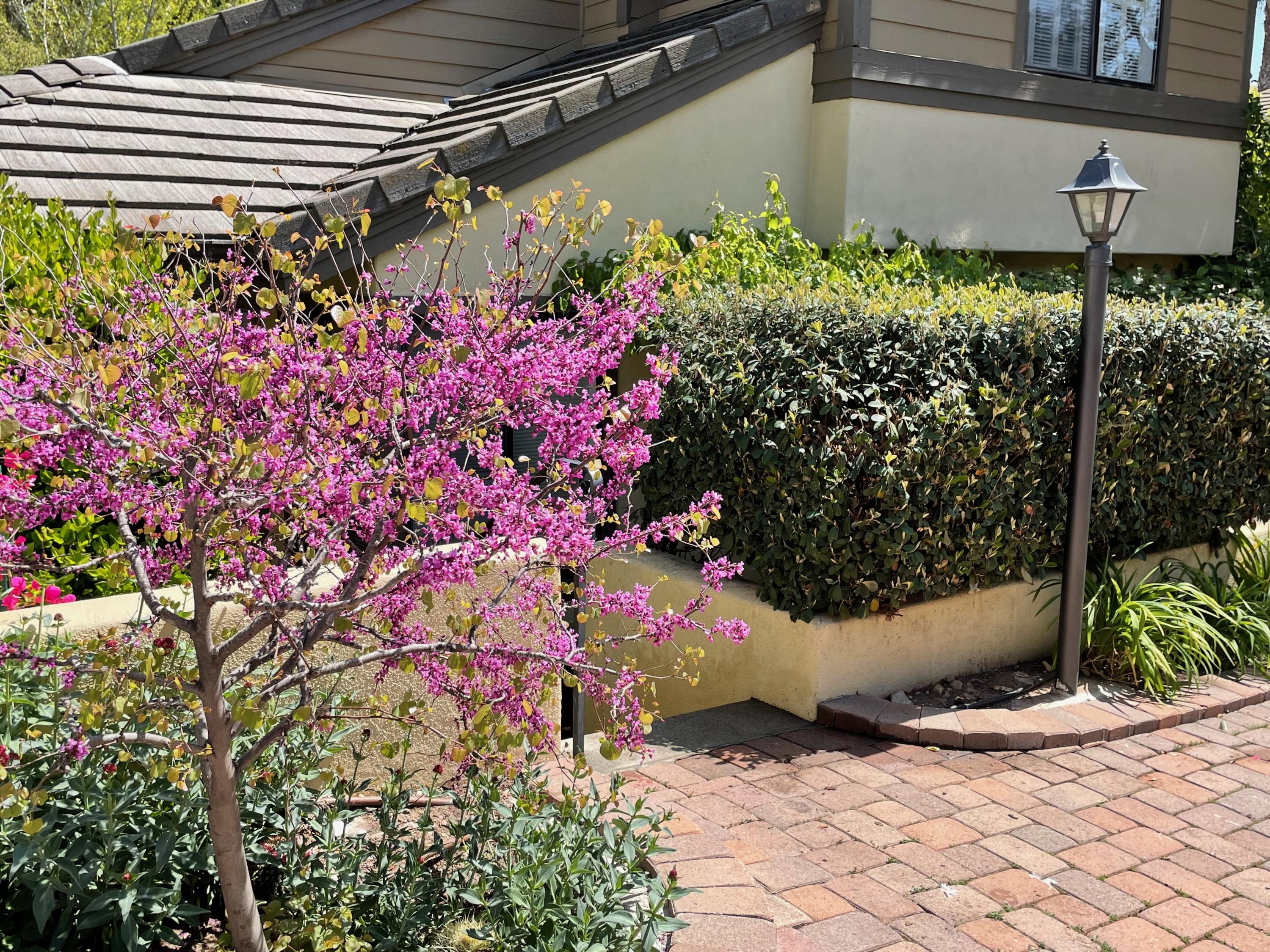 413 Via Rosa, Unit 9 Santa Barbara, CA 93110 - Photo 11 of 14 IMG_6791
