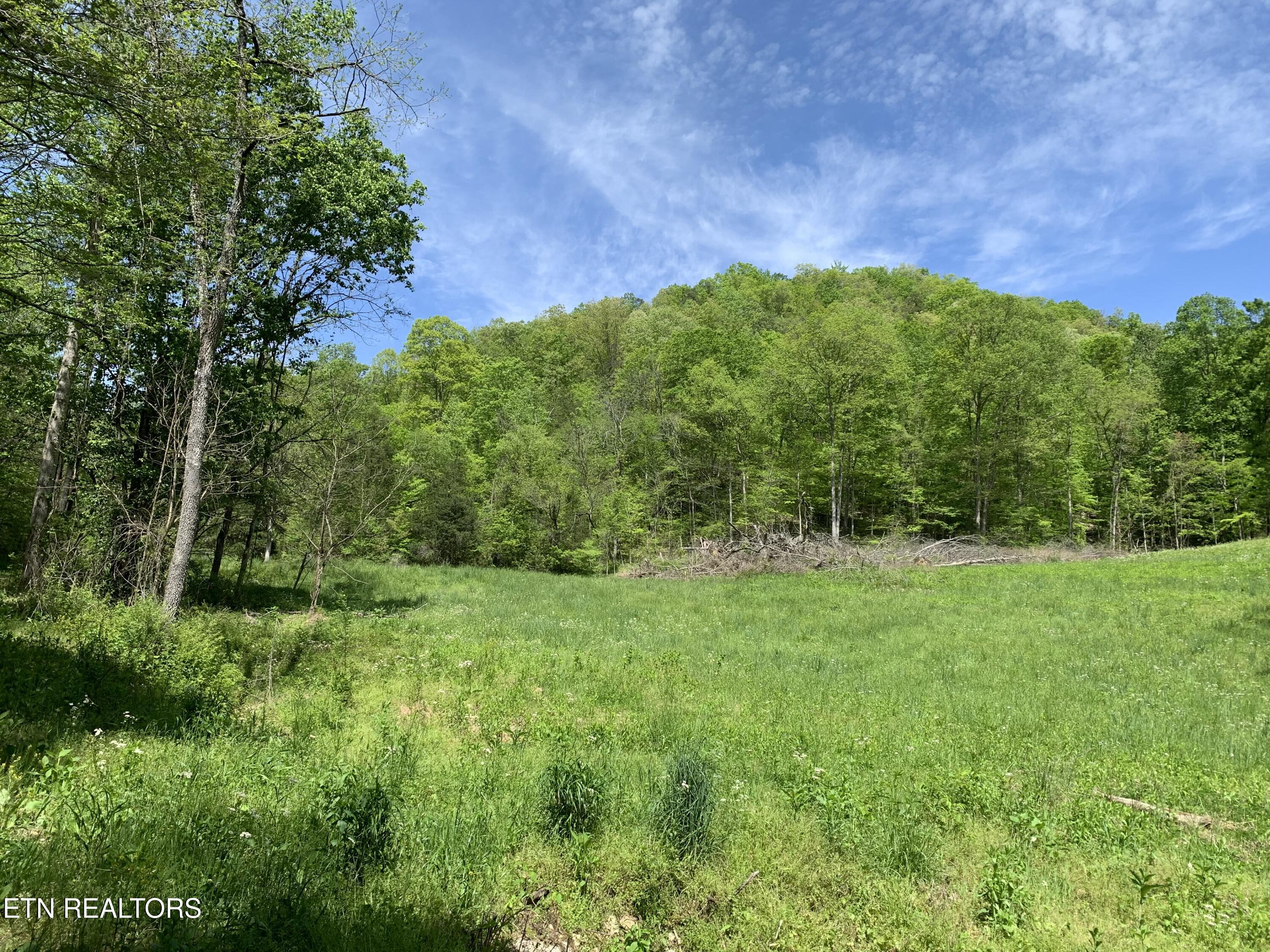 1088 Jones Ridge Road Speedwell, TN 37870 - Photo 37 of 53 IMG_0088