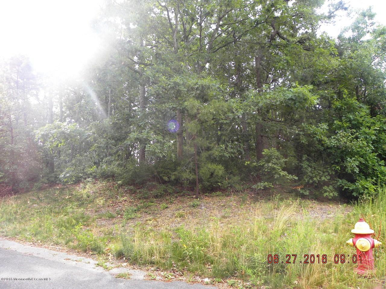 119 Sailing Road Manahawkin, NJ 08050 - Photo 5 of 8 a view of a yard with a tree