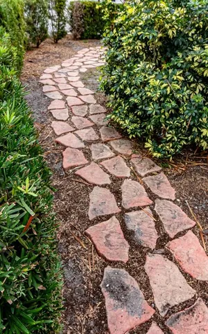a view of backyard of the house