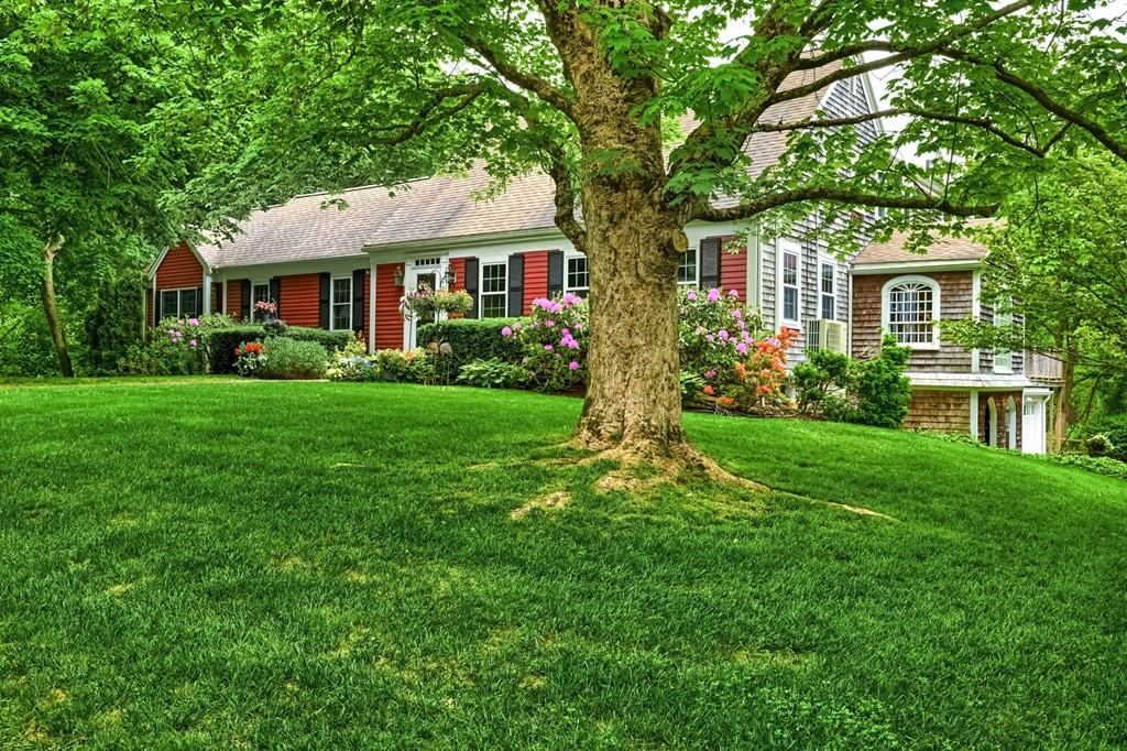 214 Park Avenue Barnstable, MA 02632 - Photo 2 of 42 a front view of a house with a yard and trees