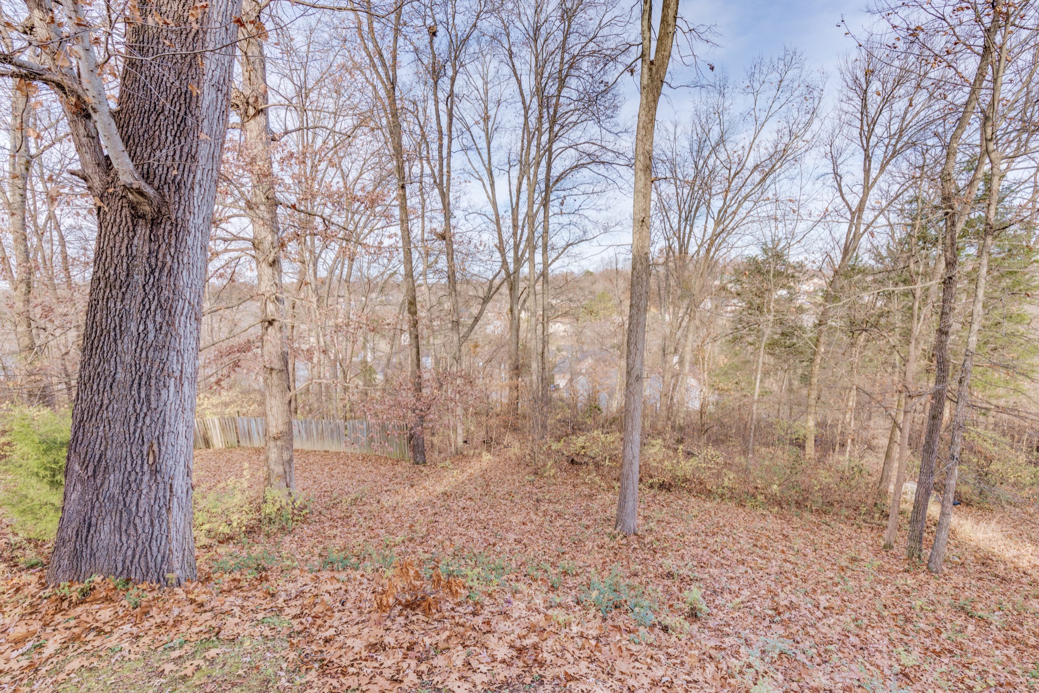 2829 Rader Ridge Court Antioch, TN 37013 - Photo 35 of 35 a backyard of a house