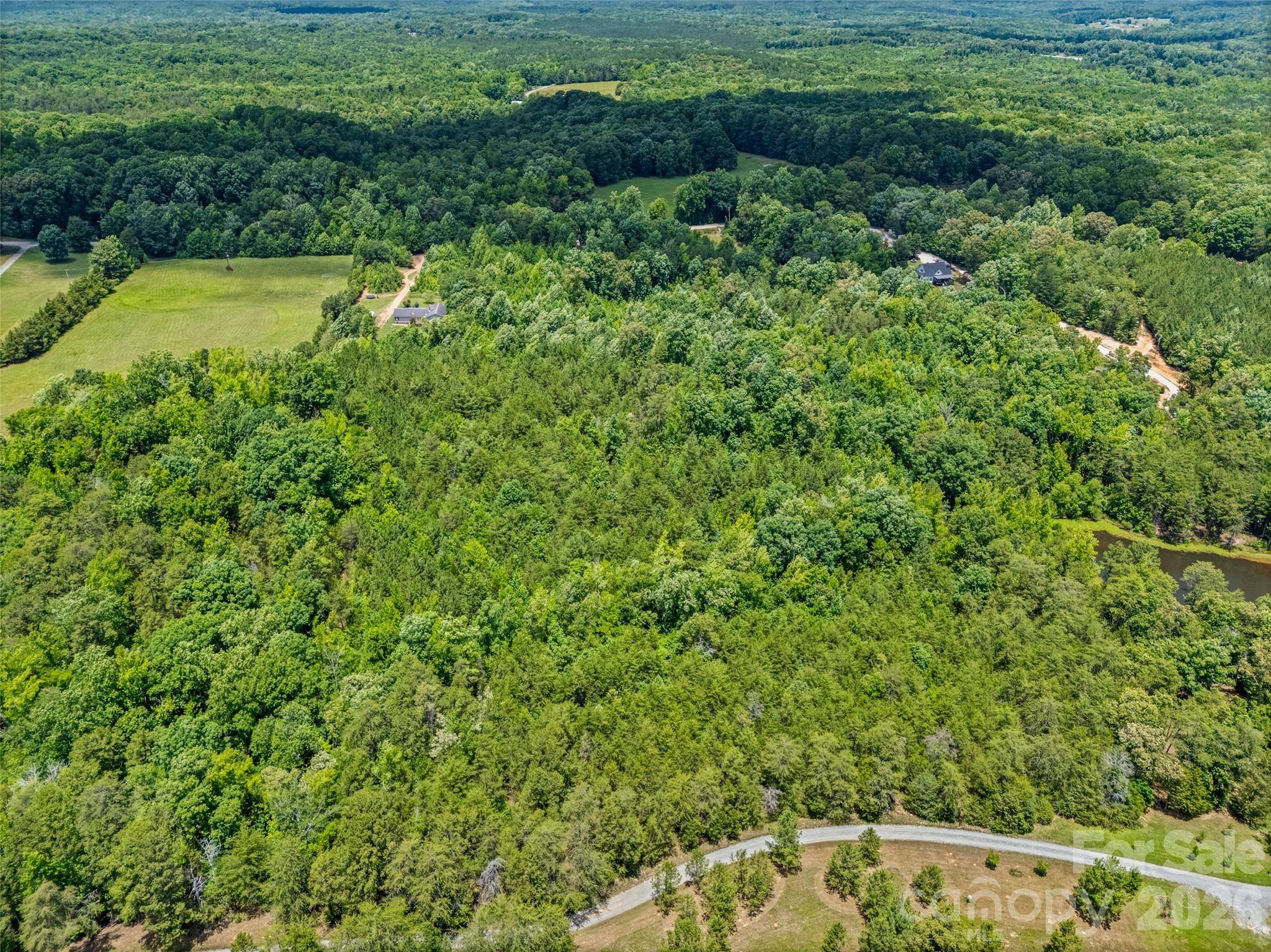 0 Nimitz Road Smyrna, SC 29743 - Photo 8 of 13