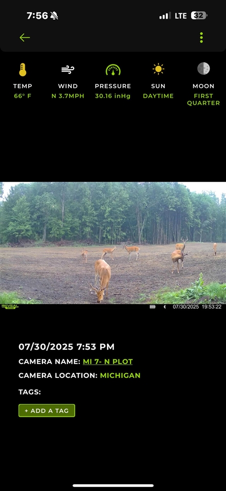 13980 12 12 Mile Road Rodney, MI 49342 - Photo 67 of 98