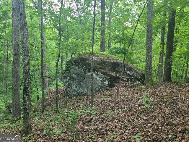 $138,599 | 0 Fincherville Road, Unit TRACT 3, Jackson, GA 30233