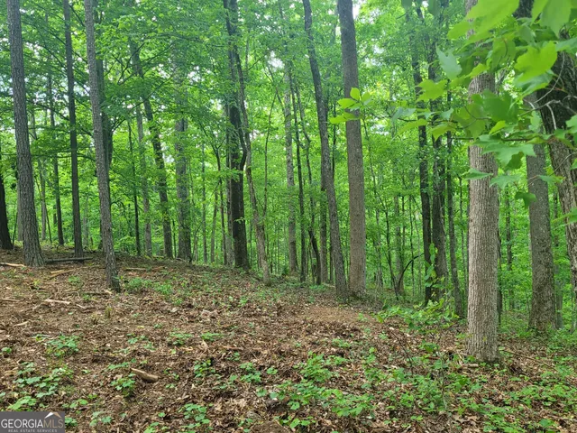 $138,599 | 0 Fincherville Road, Unit TRACT 3, Jackson, GA 30233