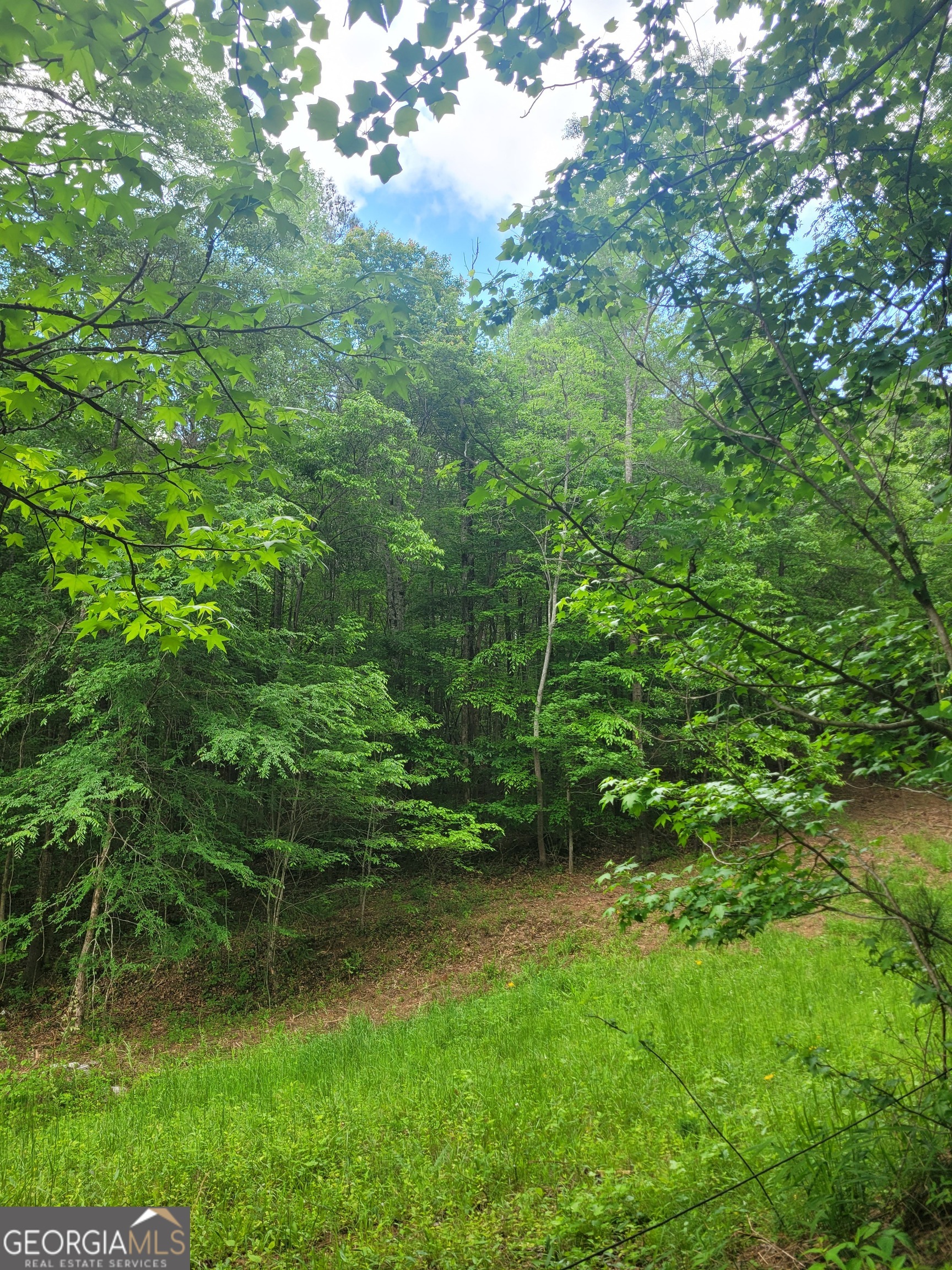 0 Fincherville Road, Unit TRACT 3 Jackson, GA 30233 - Photo 3 of 8