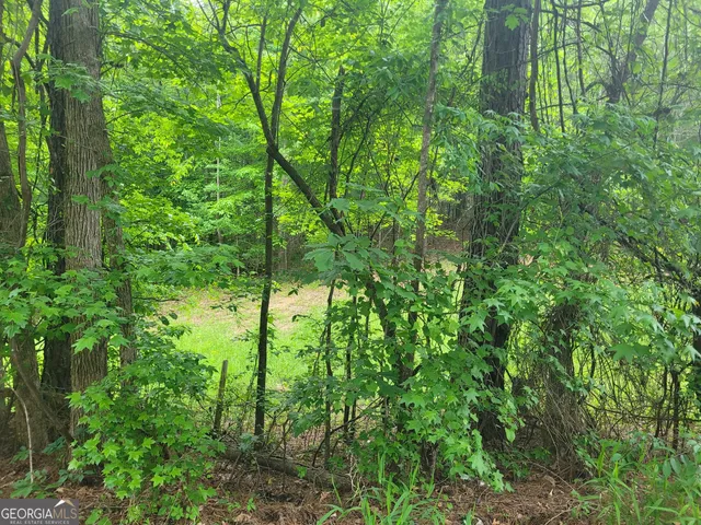 $138,599 | 0 Fincherville Road, Unit TRACT 3, Jackson, GA 30233