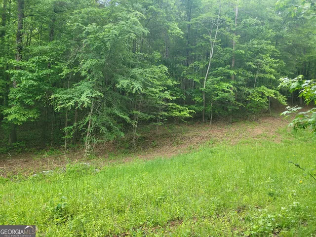 $138,599 | 0 Fincherville Road, Unit TRACT 3, Jackson, GA 30233