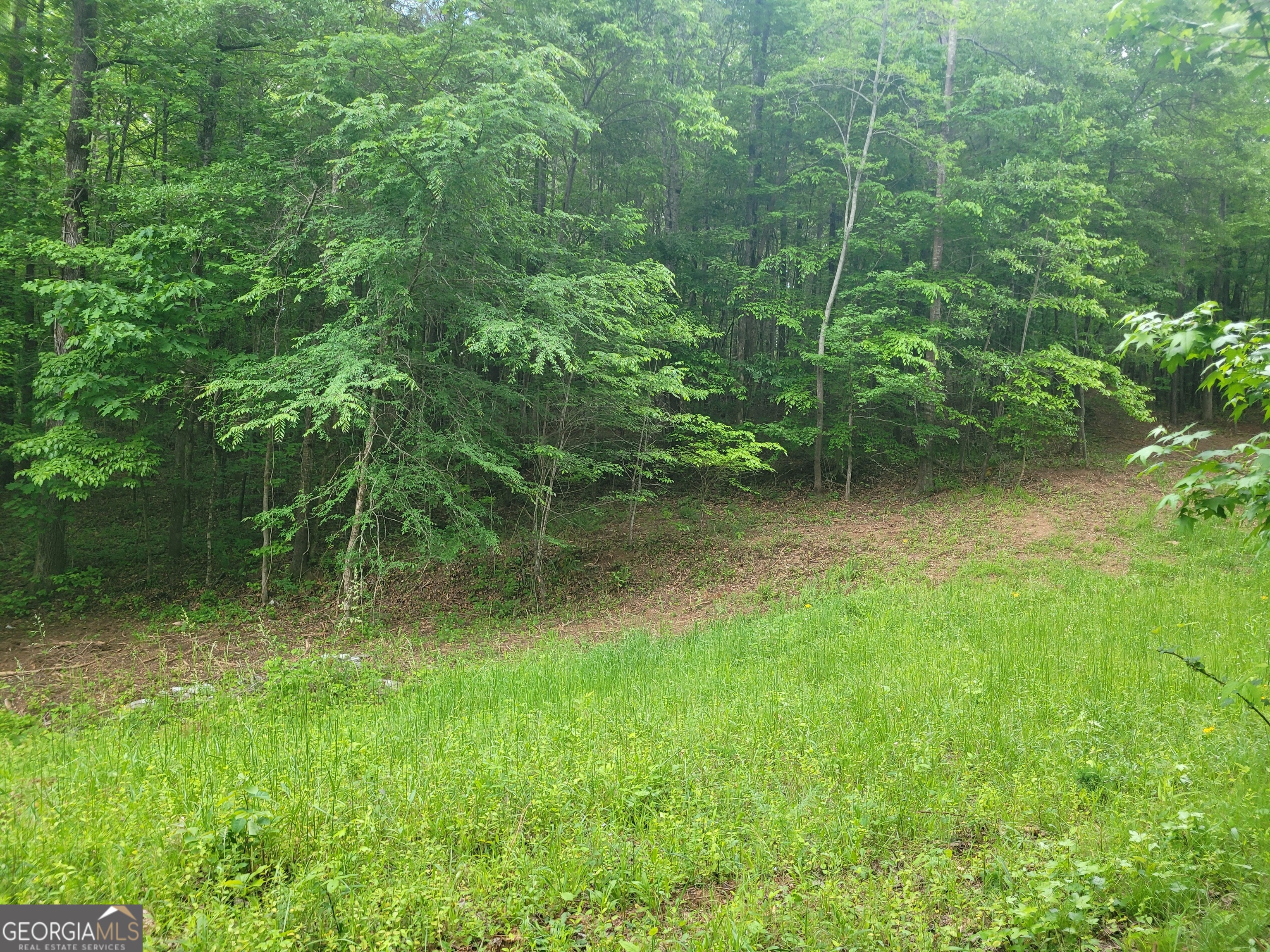 0 Fincherville Road, Unit TRACT 3 Jackson, GA 30233 - Photo 5 of 8