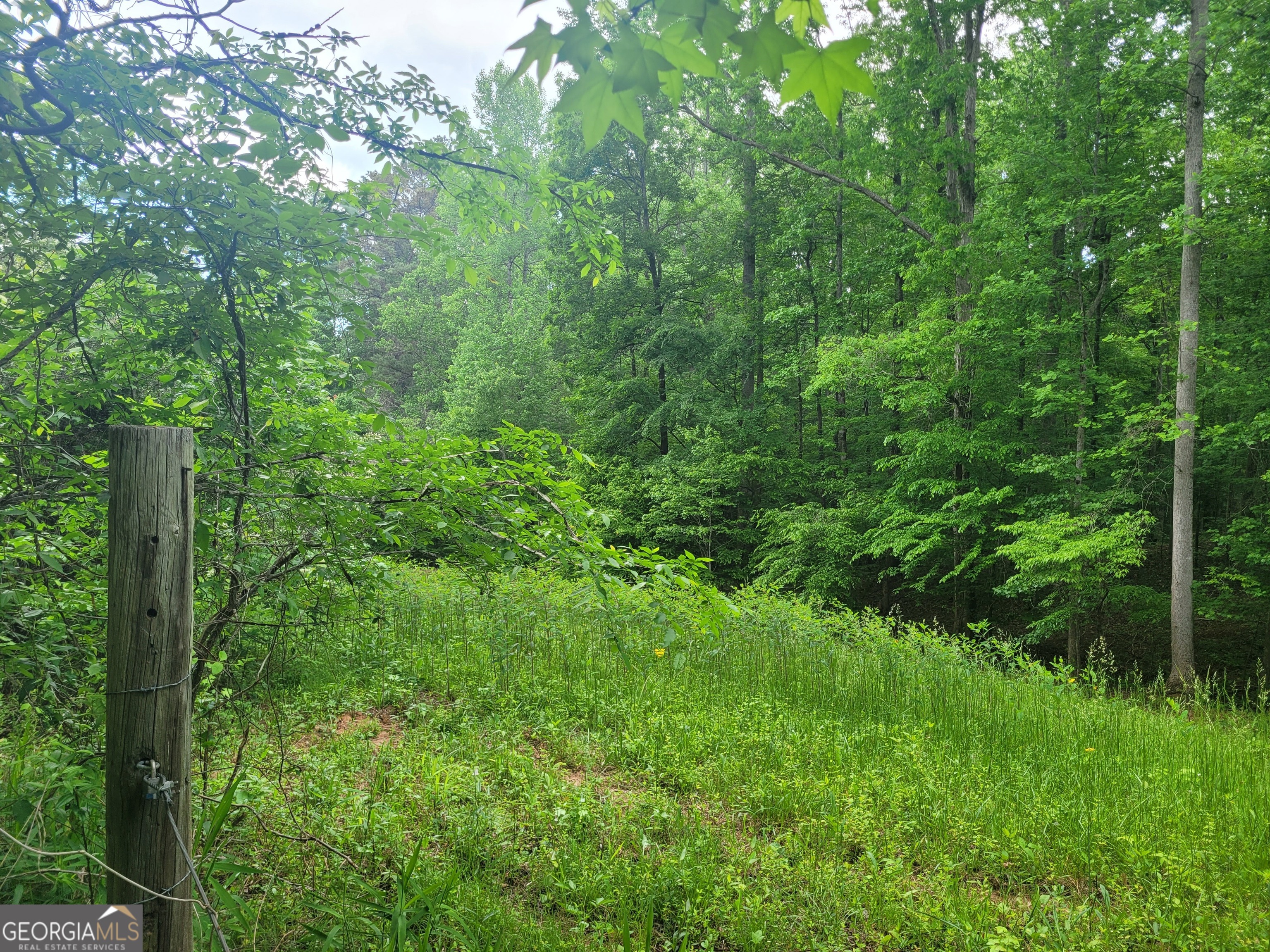 0 Fincherville Road, Unit TRACT 3 Jackson, GA 30233 - Photo 6 of 8