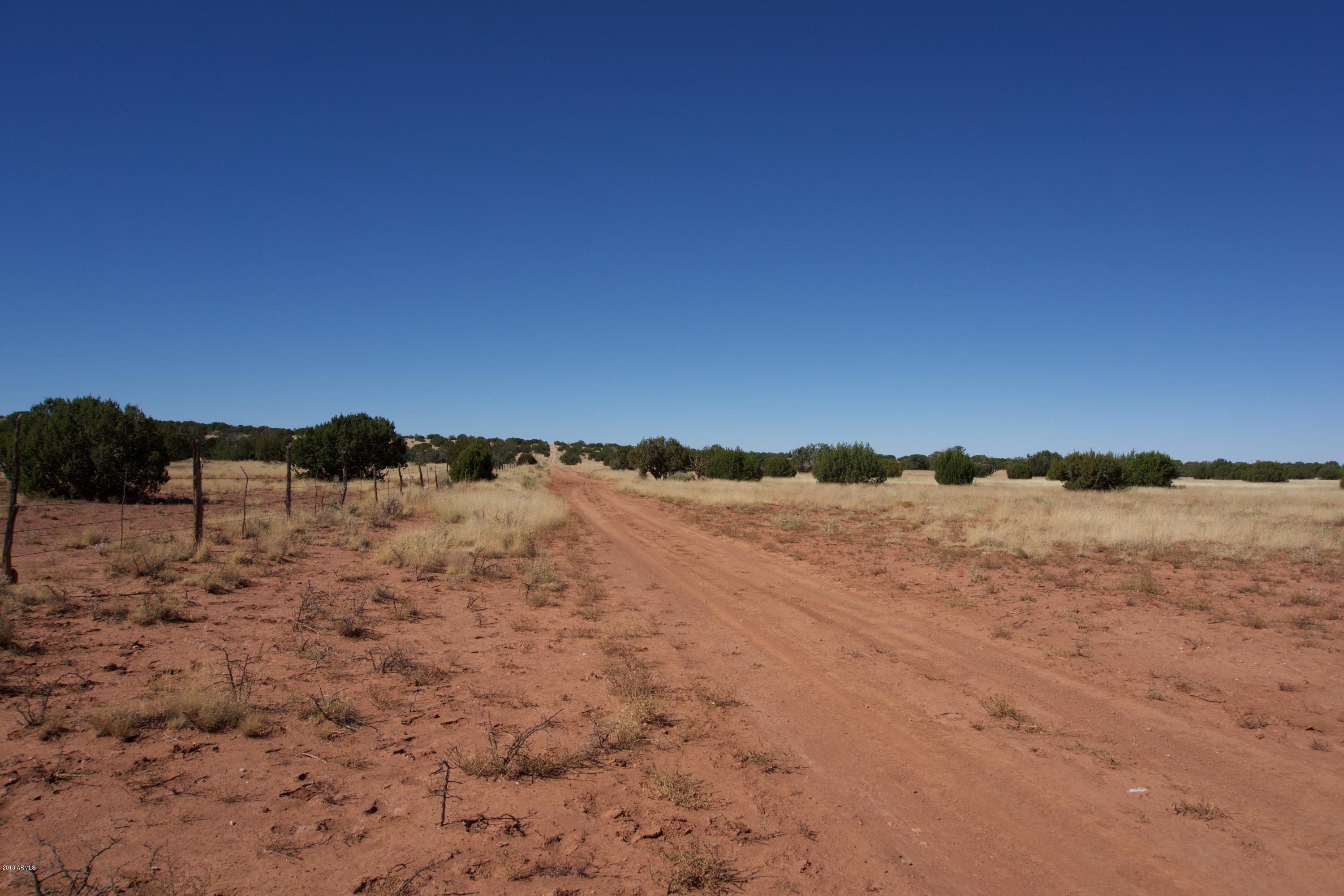 2528 Deeazinon Road Heber, AZ 85928 - Photo 2 of 5 DSC02207