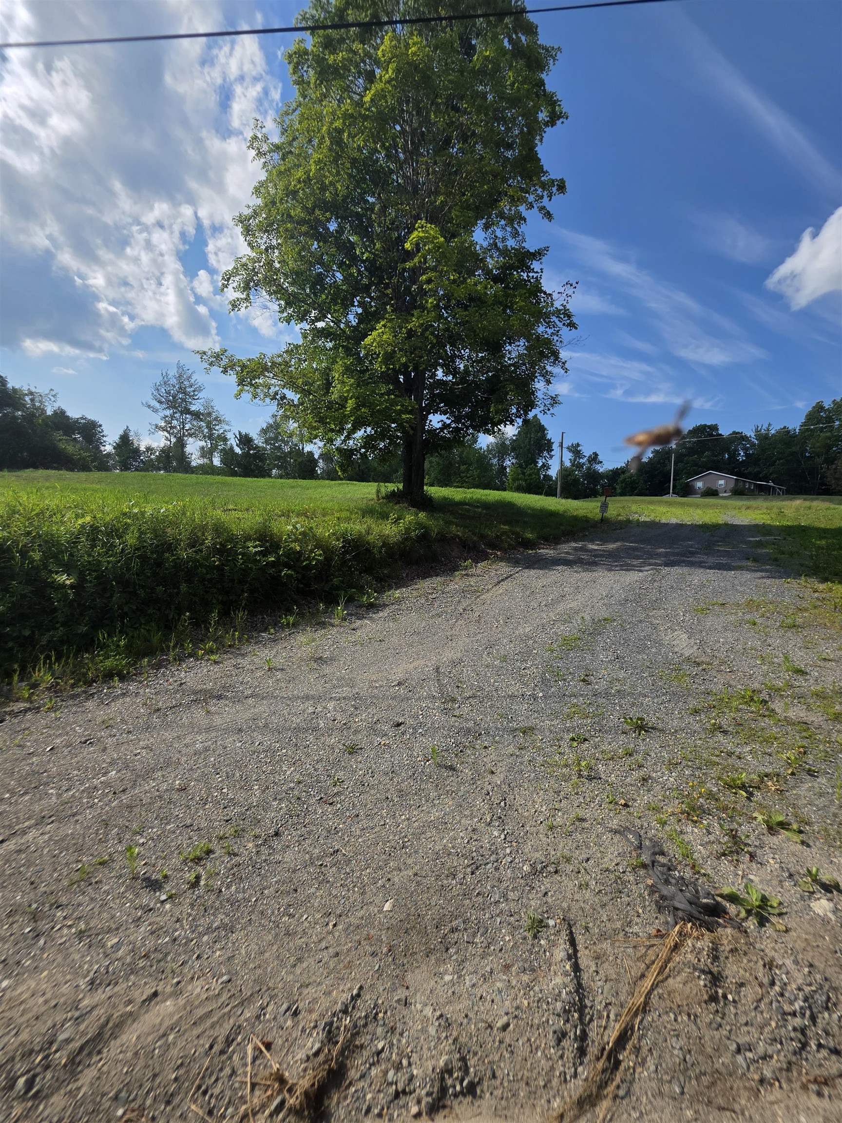 0 Lime Kiln Road Pike, NH 03780 - Photo 8 of 14