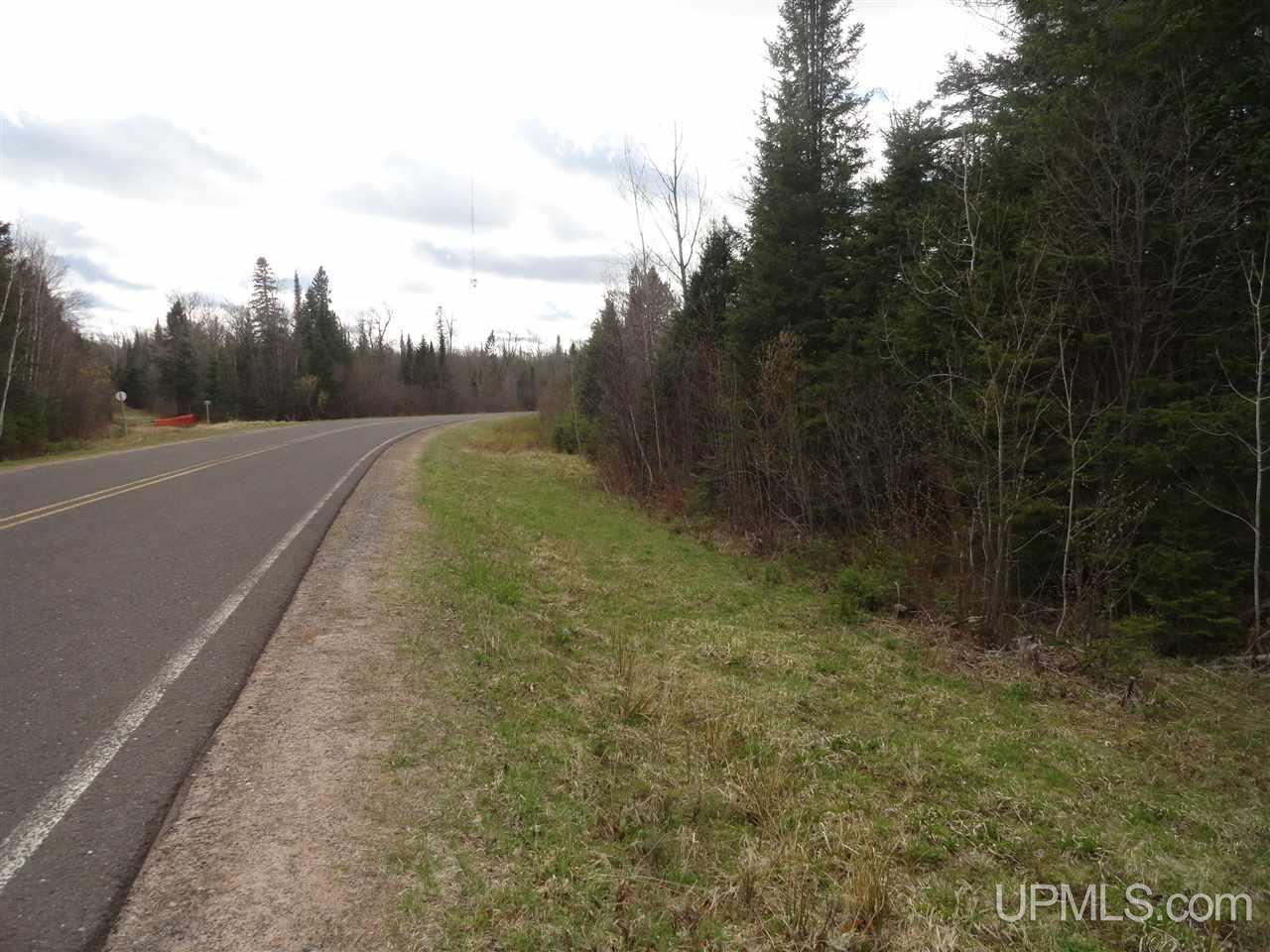 East Shore Road Marenisco, MI 49947 - Photo 10 of 12