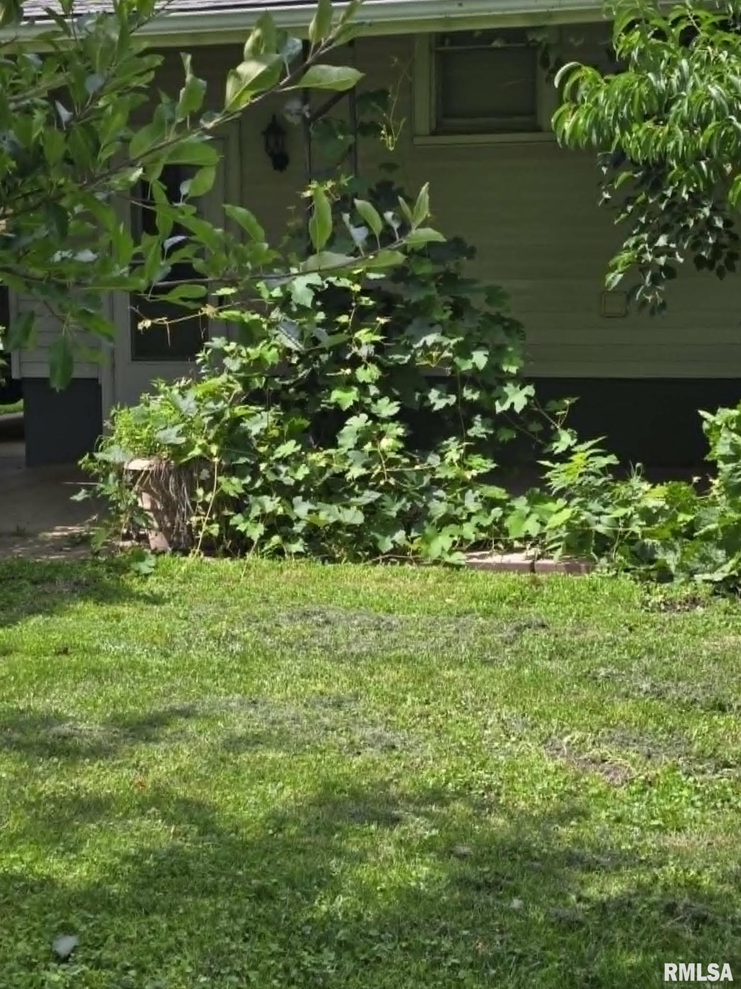 202 West Myrtle Street Canton, IL 61520 - Photo 5 of 38