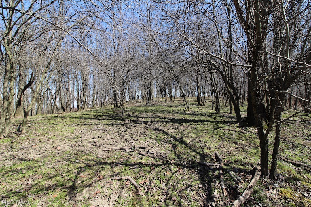 145 State Route Woodsfield, OH 43793 - Photo 13 of 31