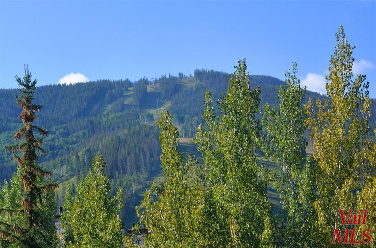 83 Offerson Road, Unit 3 Beaver Creek, CO 81620 - Photo 4 of 25 Additional Photo