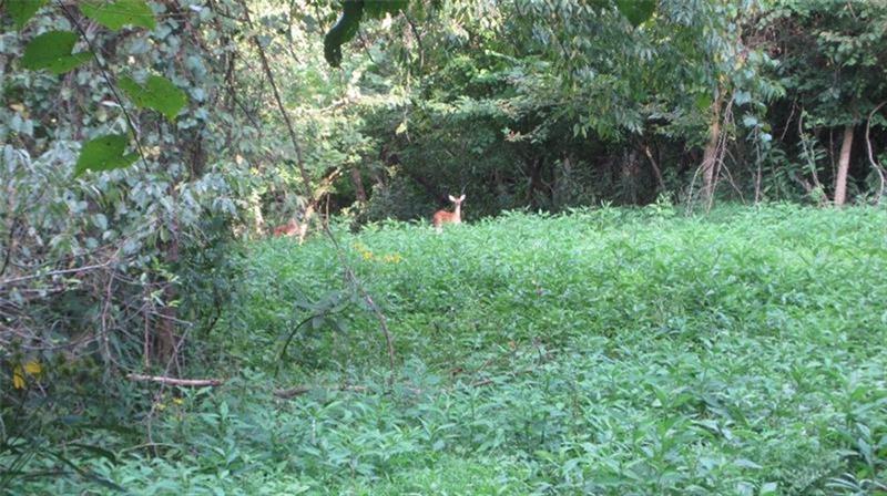 0 Robbins Station Road North Huntingdon, PA 15642 - Photo 2 of 6 Gallery Image 2