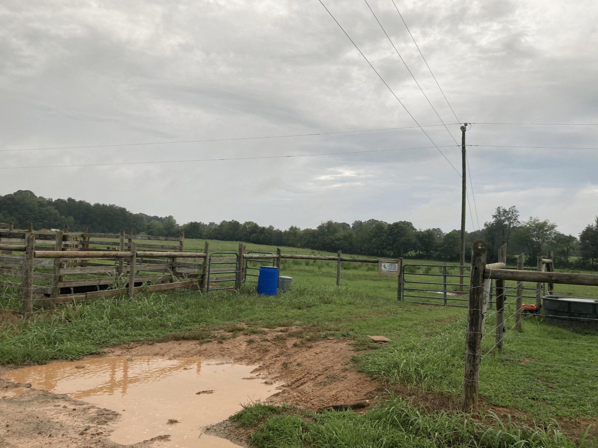 0 Swan Road Old Fort, TN 37362 - Photo 13 of 20