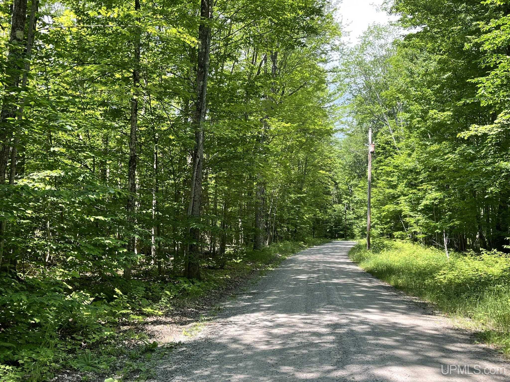 10661 Government Road Manistique, MI 49854 - Photo 25 of 34 Gallery Image 25