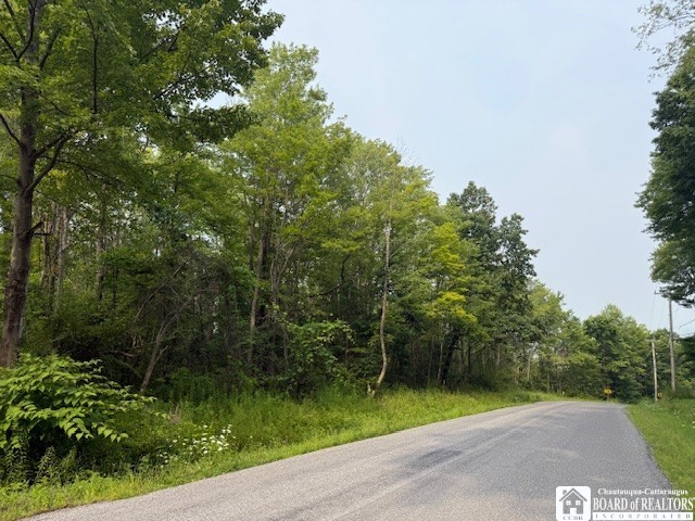 Horton Road Jamestown, NY 14701 - Photo 2 of 5