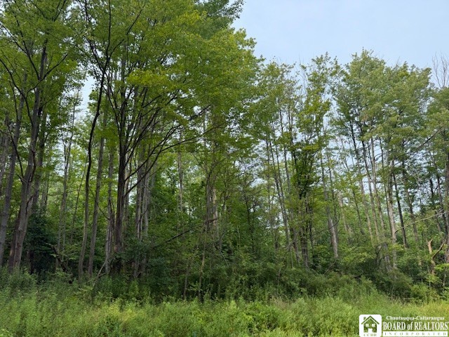 Horton Road Jamestown, NY 14701 - Photo 3 of 5