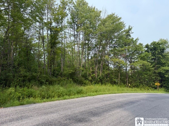 Horton Road Jamestown, NY 14701 - Photo 4 of 5